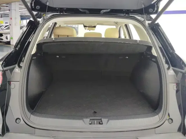 BYD Song Pro New Energy 2025 2nd Gen DM-i 75KM Surpass — Фото автомобиля 4