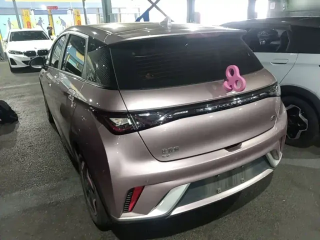 BYD Dolphin — Фото автомобиля 4