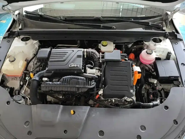 BYD Destroyer 05 2022 DM-i 55KM Luxury — Фото автомобиля 19