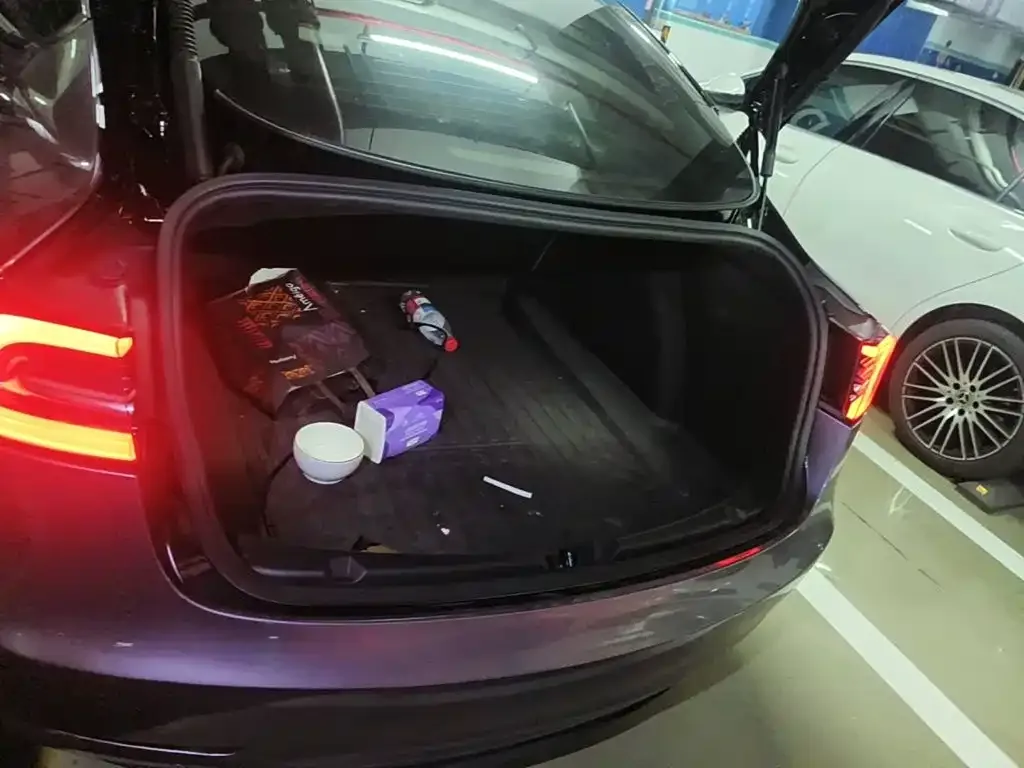 Tesla Model 3 2021 Standard Range Rear-Wheel Drive Upgrade — Фото автомобиля 5