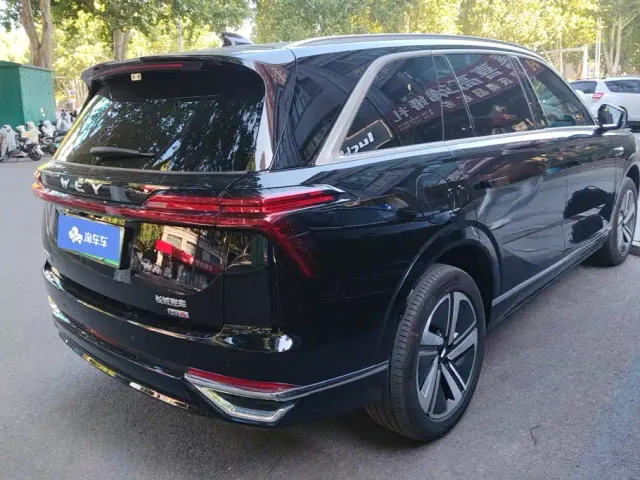 Wey Lanshan — Фото автомобиля 2
