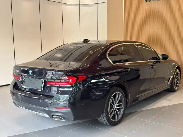 BMW 5 Series — Фото автомобиля 17