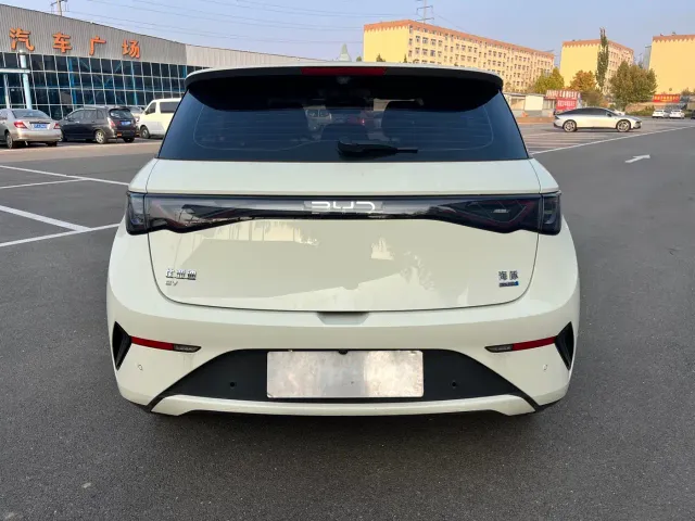 BYD Dolphin — Фото автомобиля 16