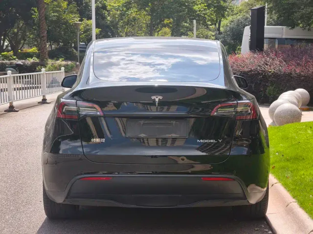Tesla Model Y — Фото автомобиля 6