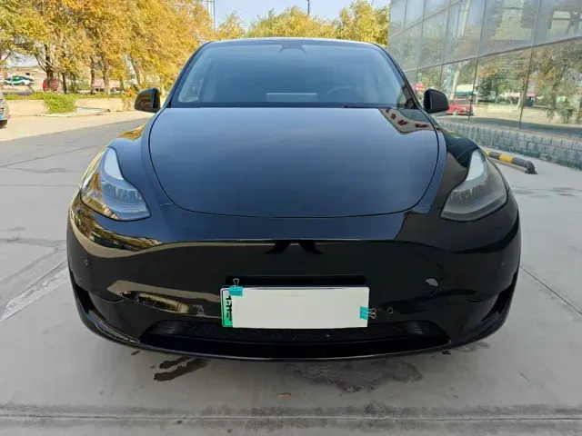 Tesla Model Y — Фото автомобиля 2