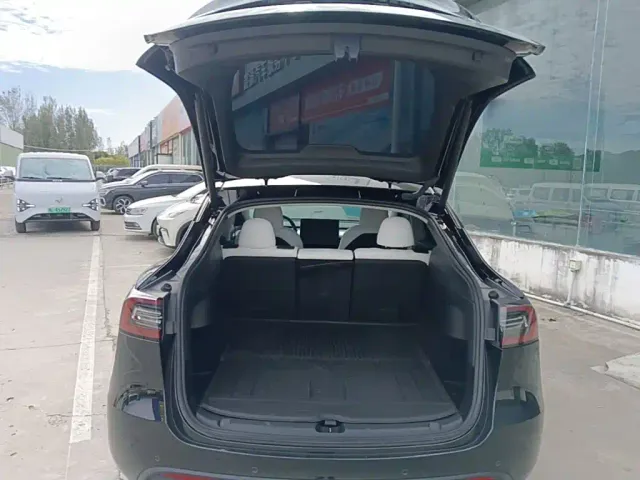 Tesla Model Y — Фото автомобиля 18