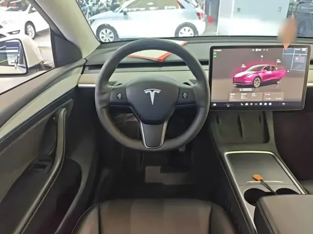 Tesla Model Y — Фото автомобиля 10