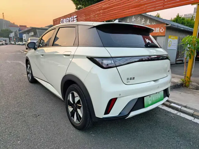 BYD Dolphin — Фото автомобиля 9