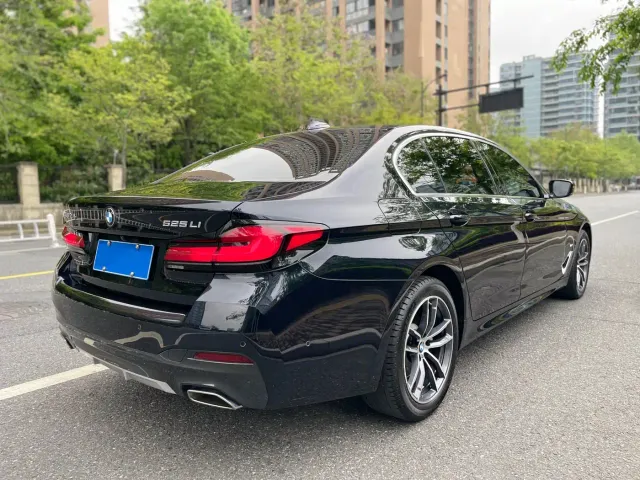 BMW 5 Series — Фото автомобиля 7
