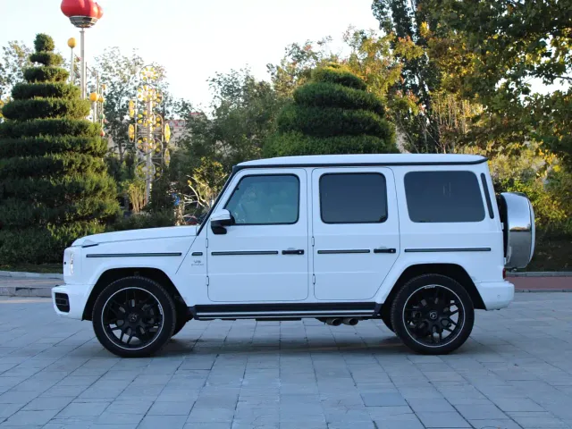 Mercedes-Benz G-Class — Фото автомобиля 7