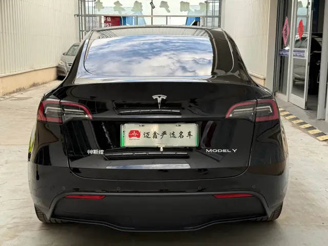 Tesla Model Y — Фото автомобиля 6