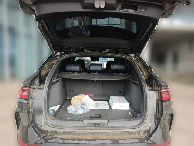 BYD Song PLUS — Фото автомобиля 9