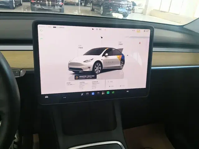 Tesla Model Y — Фото автомобиля 12