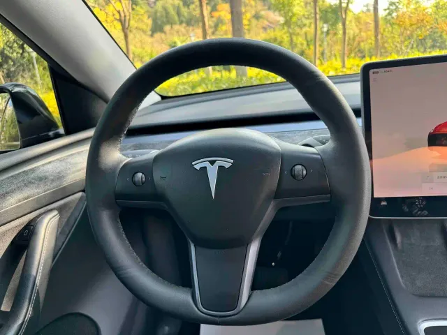 Tesla Model Y — Фото автомобиля 10