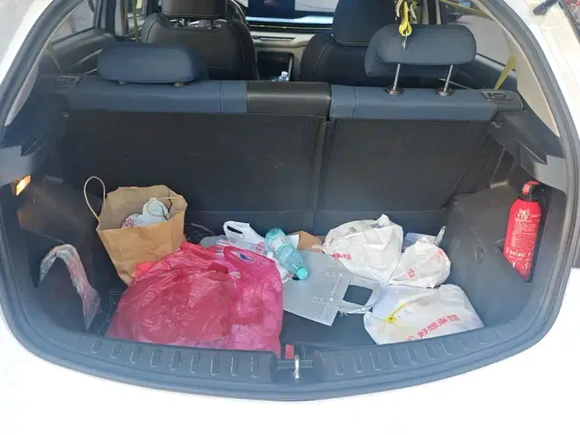 Geely Geometry EX3 Kung Fu Bull — Фото автомобиля 4
