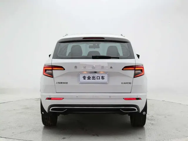 Skoda Karoq — Фото автомобиля 5