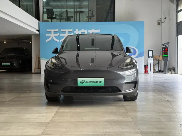 Tesla Model Y — Фото автомобиля 2
