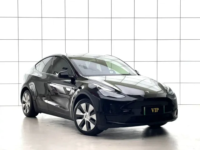 Tesla Model Y 2021 Standard Range Rear-Wheel Drive — Фото автомобиля 9