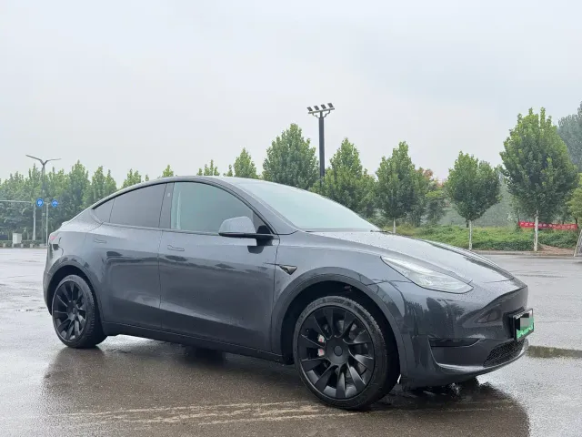 Tesla Model Y — Фото автомобиля 3
