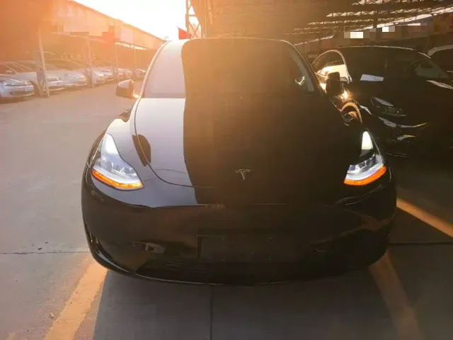 Tesla Model Y — Фото автомобиля 2