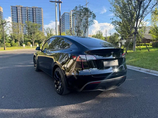 Tesla Model Y — Фото автомобиля 8