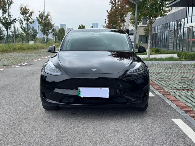 Tesla Model Y — Фото автомобиля 2