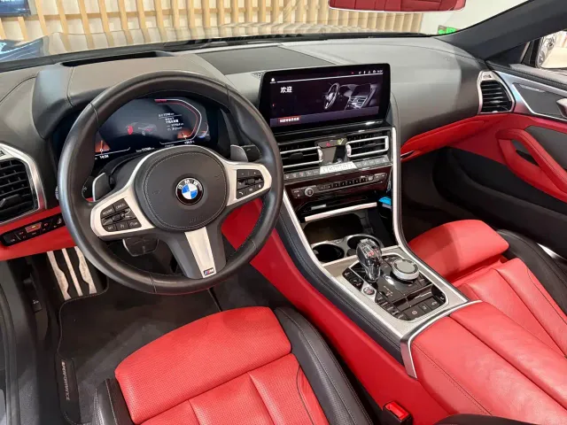 BMW 8 Series — Фото автомобиля 10