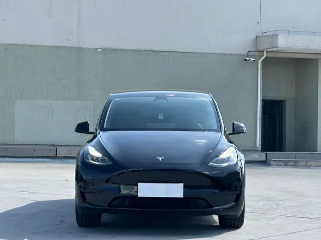 Tesla Model Y — Фото автомобиля 2
