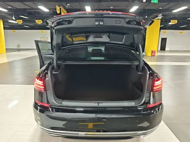 Volkswagen Passat 2025 Outstanding 380TSI Starlight Dragon Soaring Edition — Фото автомобиля 18