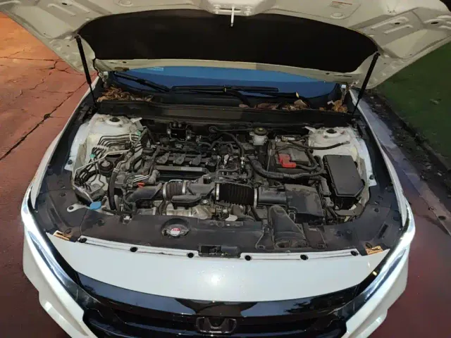 Honda Accord — Фото автомобиля 10