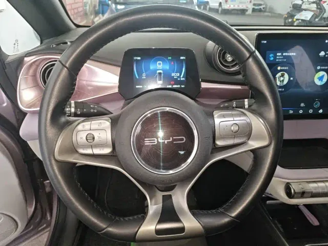 BYD Dolphin — Фото автомобиля 10