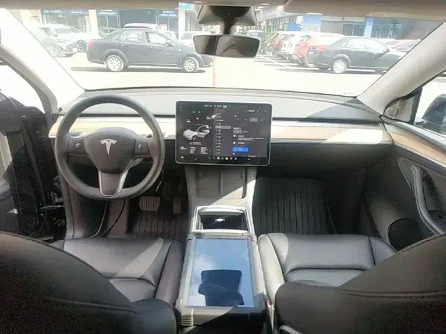 Tesla Model Y — Фото автомобиля 9
