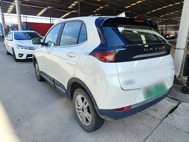 Dayun Yuehu — Фото автомобиля 4
