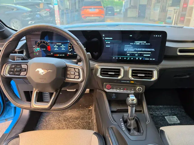 Ford Mustang — Фото автомобиля 7