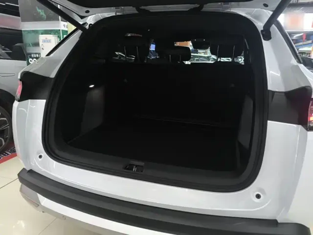 BYD Song L DM-i — Фото автомобиля 18