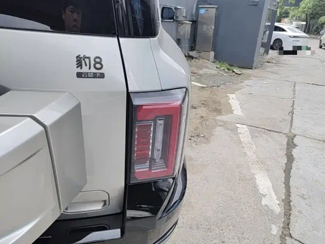 BYD FangChengBao Leopard 8 — Фото автомобиля 7
