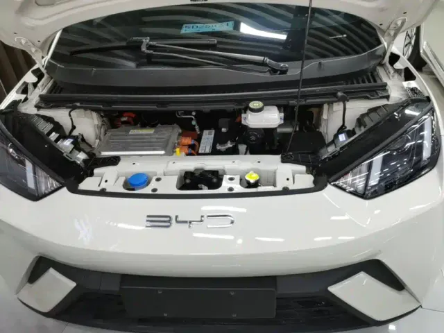 BYD Seagull — Фото автомобиля 19