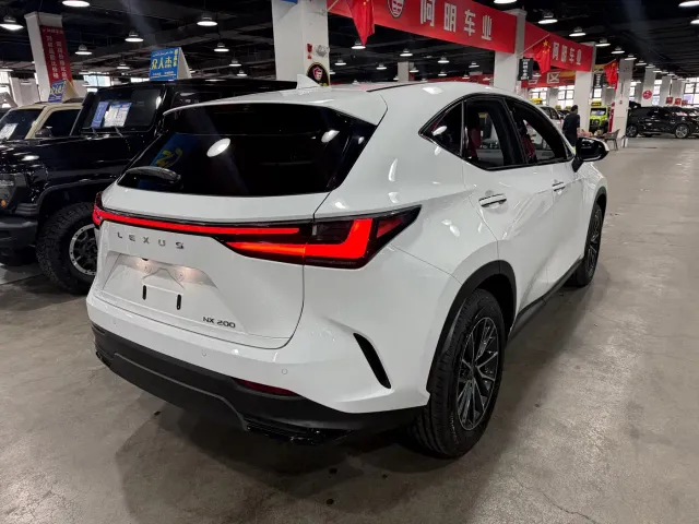 Lexus NX — Фото автомобиля 8