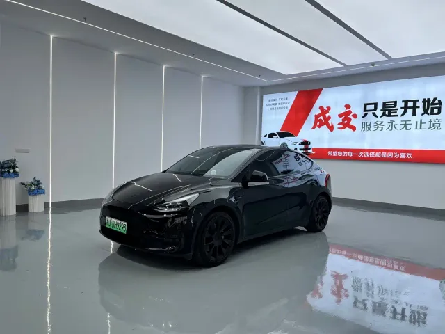 Tesla Model Y — Фото автомобиля 2