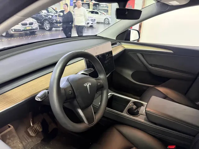 Tesla Model Y — Фото автомобиля 9