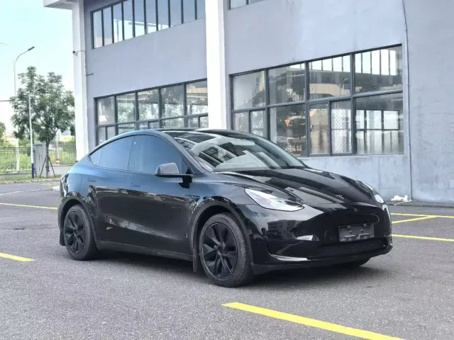 Tesla Model Y — Фото автомобиля 3