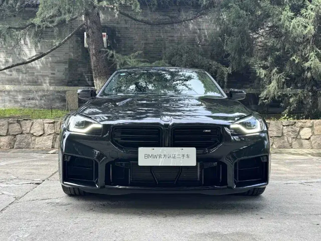 BMW M2 — Фото автомобиля 17