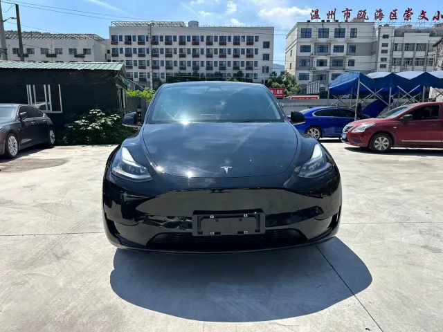 Tesla Model Y — Фото автомобиля 6