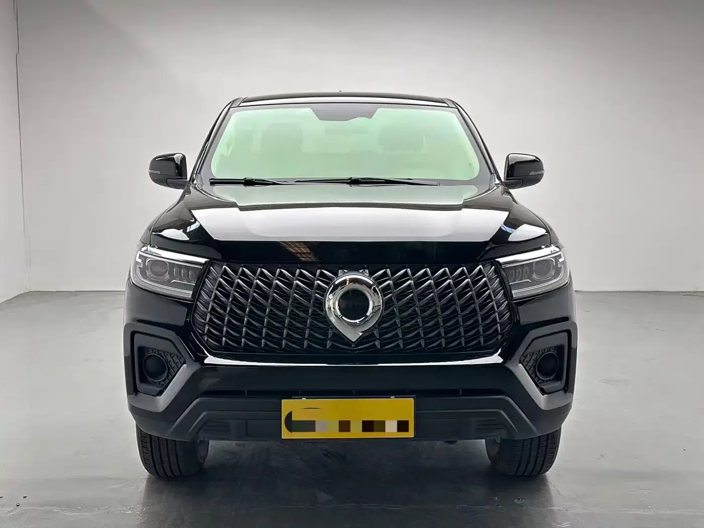 Great Wall Pao 2024 Model 2.4T Commercial Version Automatic Diesel 4WD Elite Type — Фото автомобиля 2