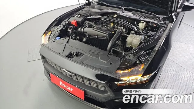Ford Mustang — Фото автомобиля 6
