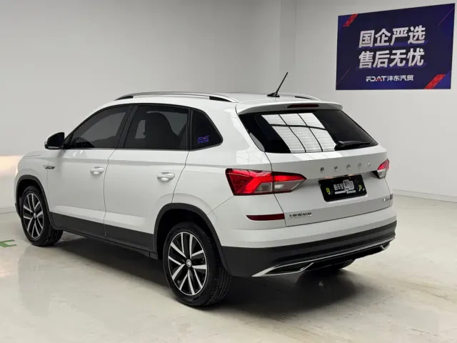 Skoda Kamiq — Фото автомобиля 6