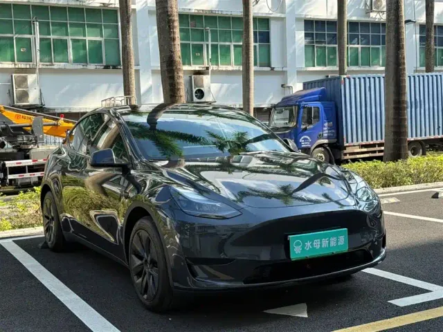 Tesla Model Y — Фото автомобиля 11