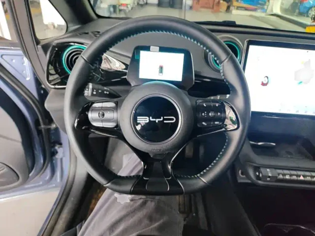 BYD Dolphin — Фото автомобиля 10