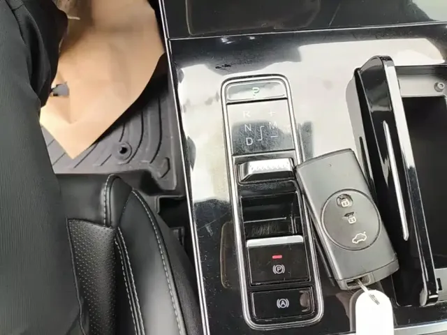 Exeed Exeed Windchaser 2020 1.6T DCT Star Premium Edition — Фото автомобиля 13