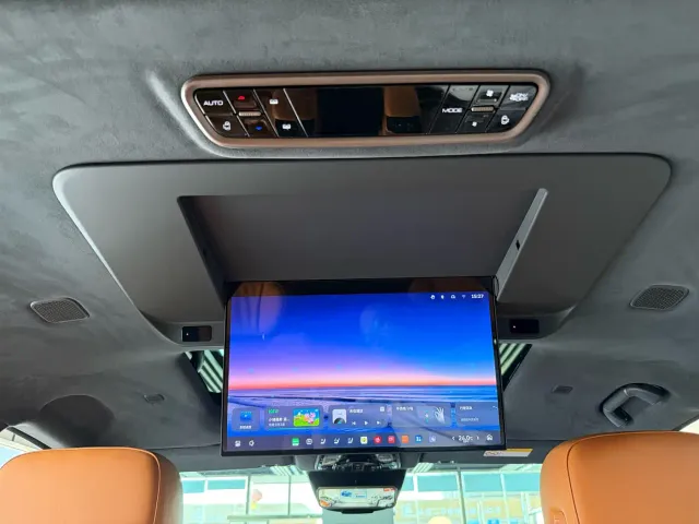 Wey Alpine — Фото автомобиля 13